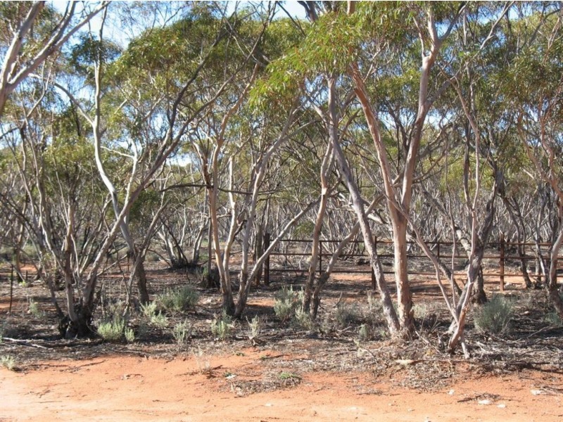 Lot 1 Off Mount Mary Road via Hecke Road, Blanchetown SA 5357