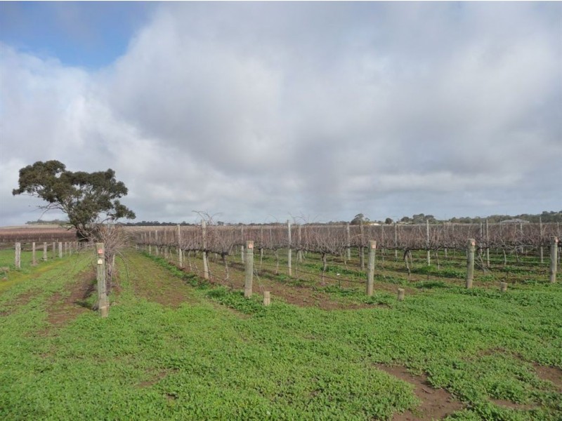Lot 724 Victor Road, Greenock SA 5360