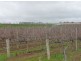 Lot 724 Victor Road, Greenock SA 5360