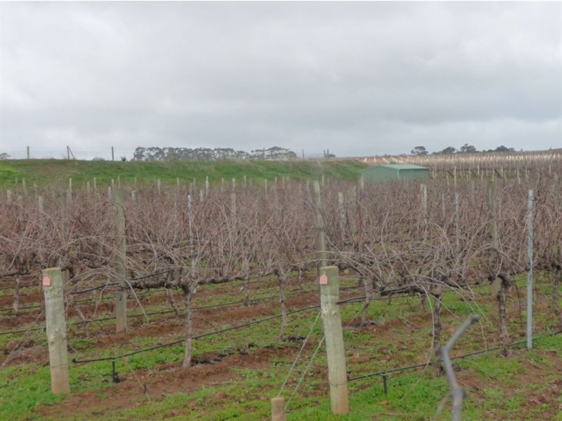 Lot 724 Victor Road, Greenock SA 5360