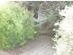 4/15-17 New Road, Nuriootpa SA 5355