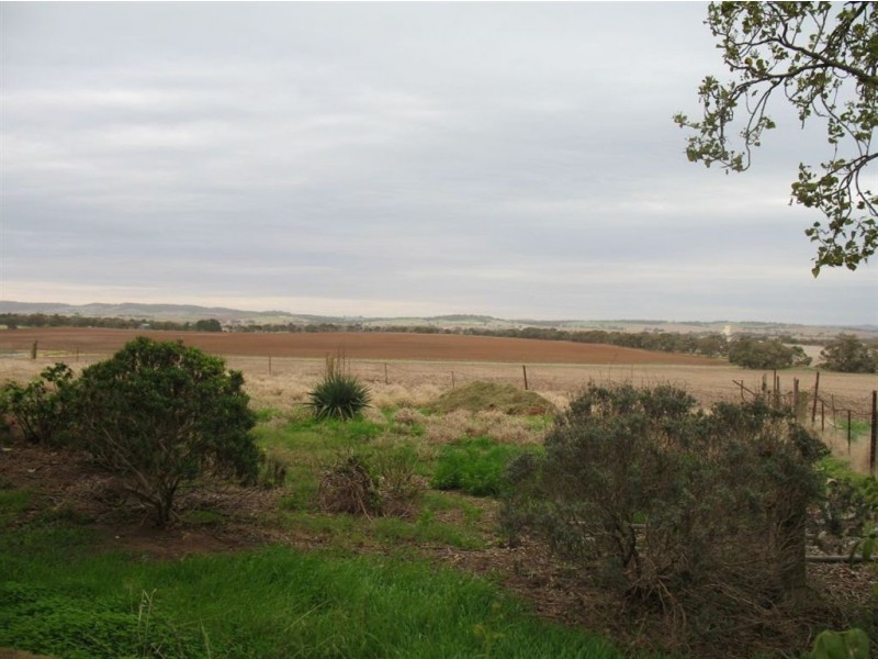 Lot 40 Kuhlmann Road, Freeling SA 5372