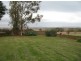 Lot 40 Kuhlmann Road, Freeling SA 5372