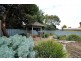 30 Centenary Avenue, Nuriootpa SA 5355