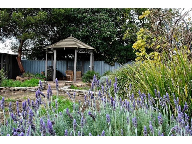 30 Centenary Avenue, Nuriootpa SA 5355
