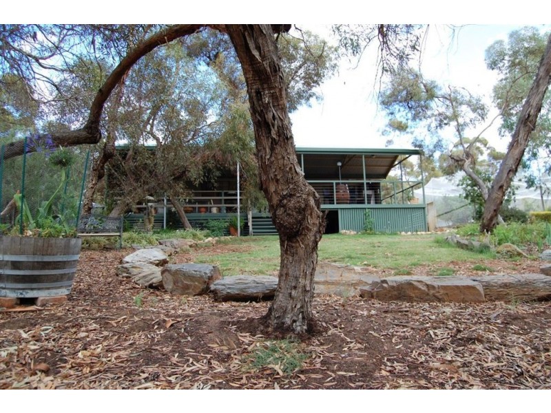 Lot 1 Boy Scout Road, Morgan SA 5320