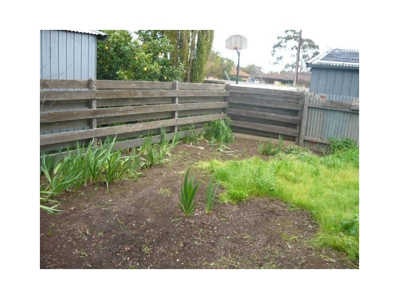 19 Gawler Street, Nuriootpa SA 5355