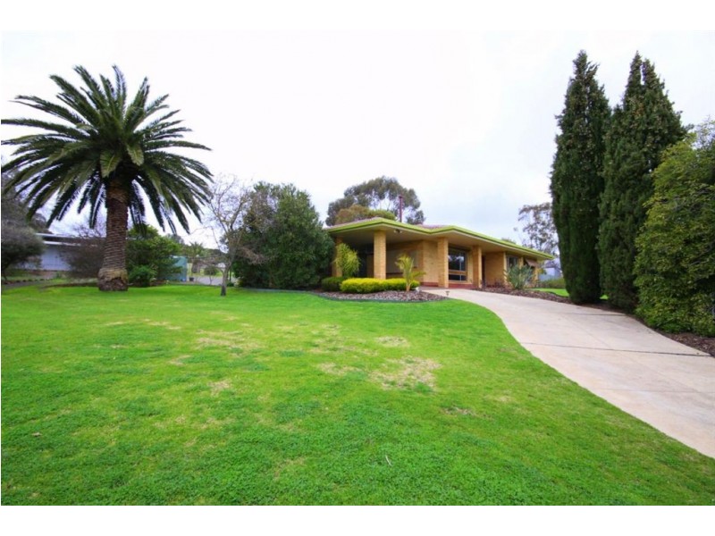 Lot 5 Seppeltsfield Road, Seppeltsfield SA 5355