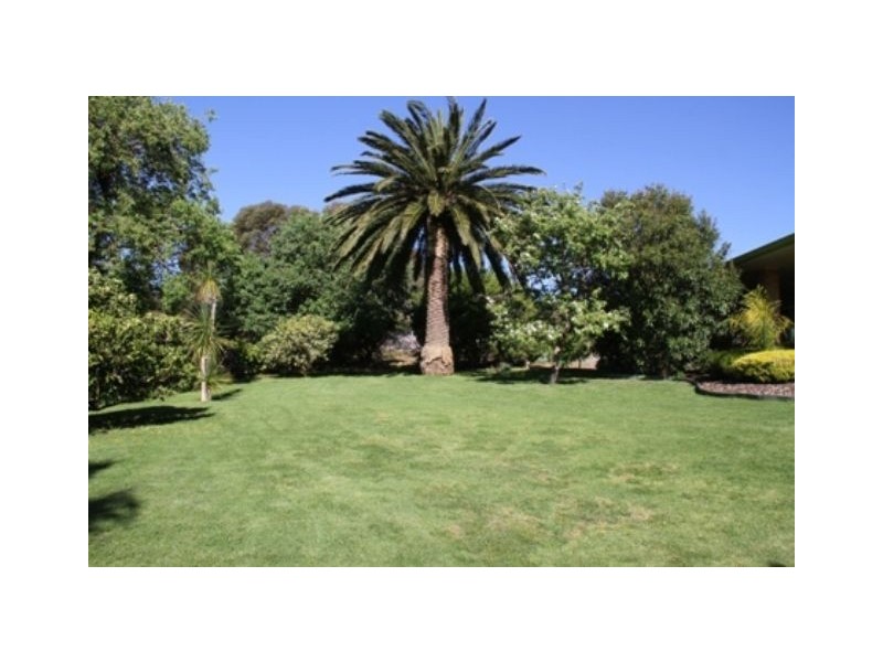Lot 5 Seppeltsfield Road, Seppeltsfield SA 5355