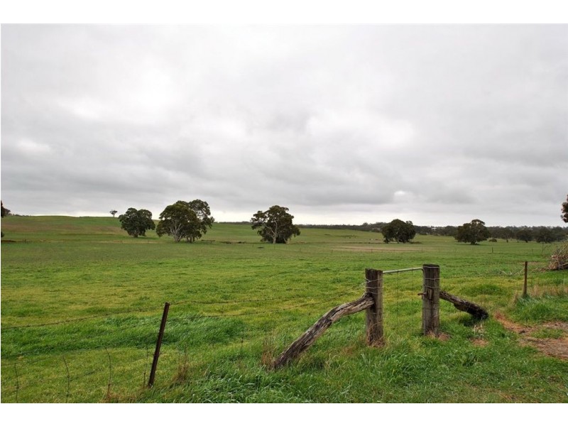 Lot 102 North Rhine Road, Keyneton SA 5353