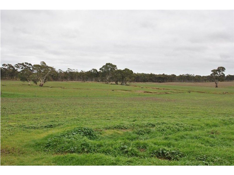 Lot 102 North Rhine Road, Keyneton SA 5353