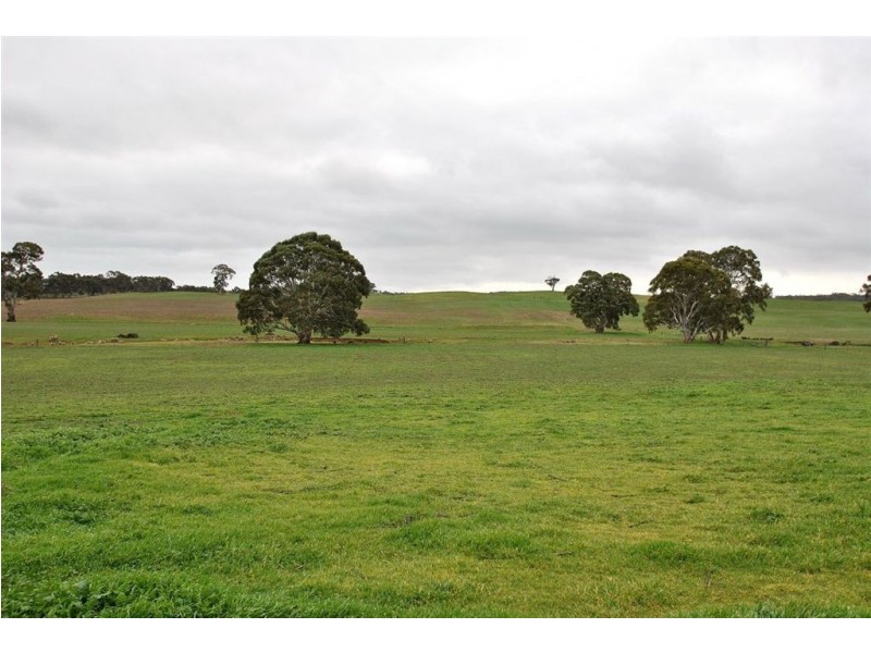 Lot 102 North Rhine Road, Keyneton SA 5353