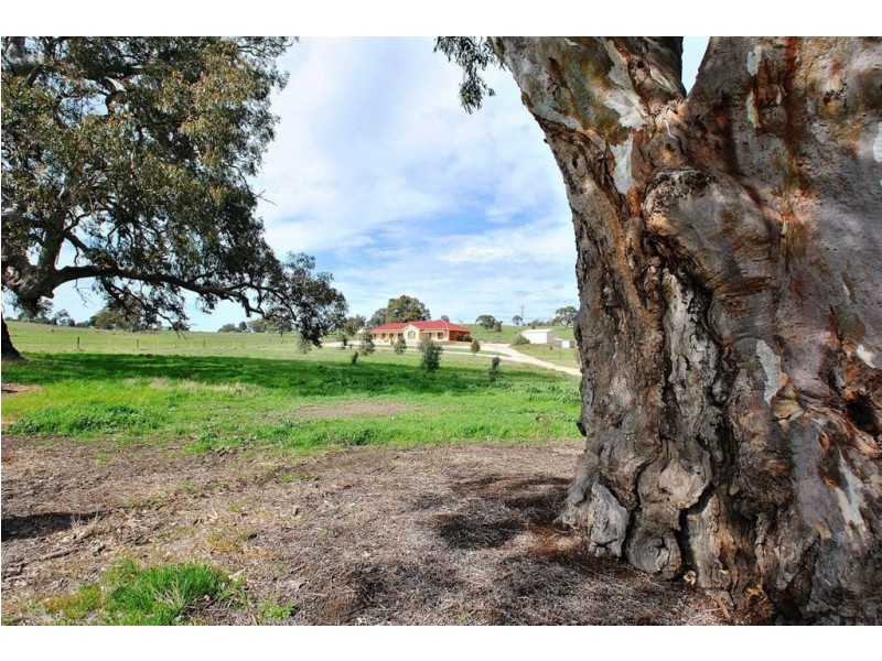 Lot 3 Rushlea Road, Eden Valley SA 5235