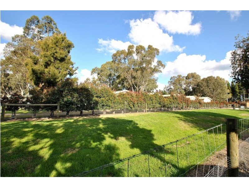 1E Murray Street, Tanunda SA 5352