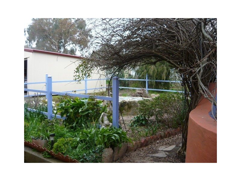 31 Miller Street, Springton SA 5235