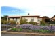 39 Gawler Street, Nuriootpa SA 5355