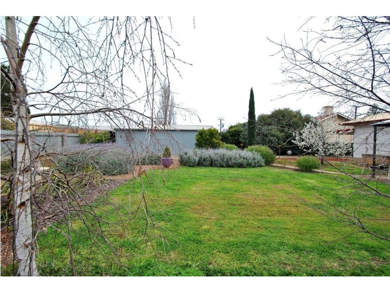 39 Gawler Street, Nuriootpa SA 5355