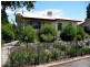 39 Gawler Street, Nuriootpa SA 5355
