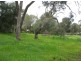 Lot 113 Gramp Court, Lyndoch SA 5351