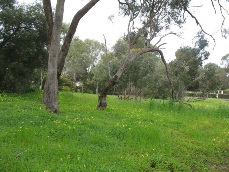 Lot 113 Gramp Court, Lyndoch SA 5351