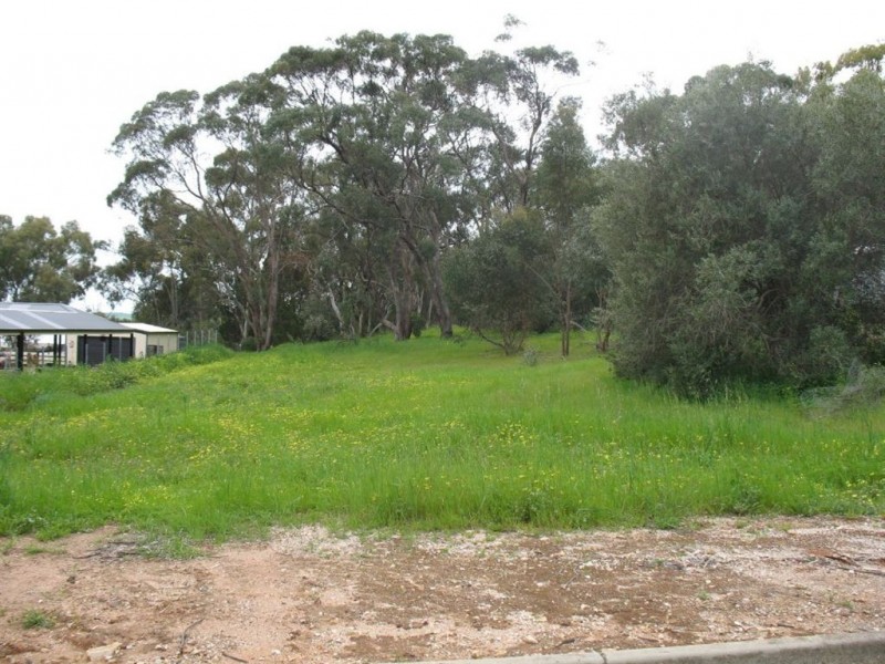Lot 113 Gramp Court, Lyndoch SA 5351