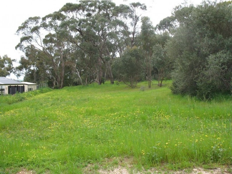 Lot 113 Gramp Court, Lyndoch SA 5351