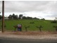 Lot 592 Radford Road, Angaston SA 5353