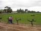 Lot 592 Radford Road, Angaston SA 5353