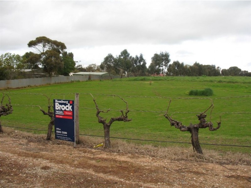 Lot 592 Radford Road, Angaston SA 5353