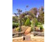 Lot 146 Rice Street, Dutton SA 5356