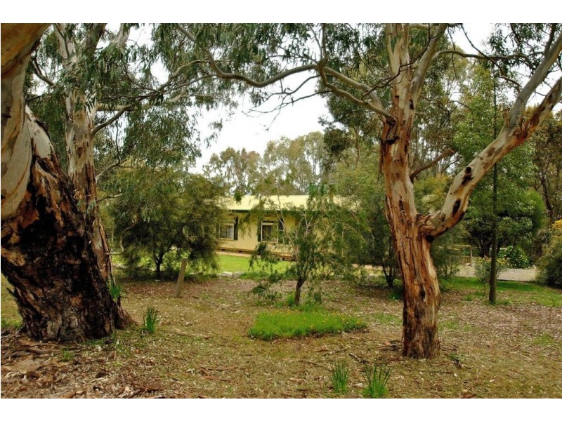 Lot 1 Rogasch Road, Eden Valley SA 5235