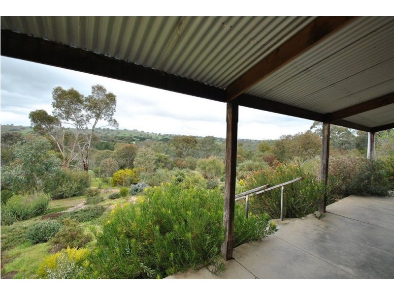Sec 248 Sugar Loaf Hill Road, Mount Mckenzie SA 5353