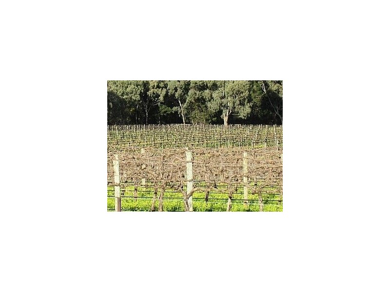 Lot 3 Pimpala Road, Lyndoch SA 5351