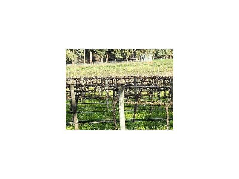 Lot 3 Pimpala Road, Lyndoch SA 5351