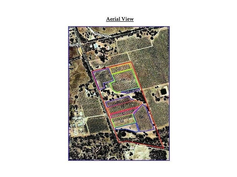 Lot 3 Pimpala Road, Lyndoch SA 5351