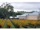 Lot 102 Barossa Valley Highway, Lyndoch SA 5351