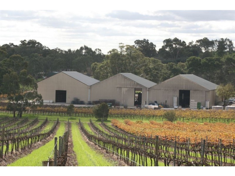 Lot 102 Barossa Valley Highway, Lyndoch SA 5351