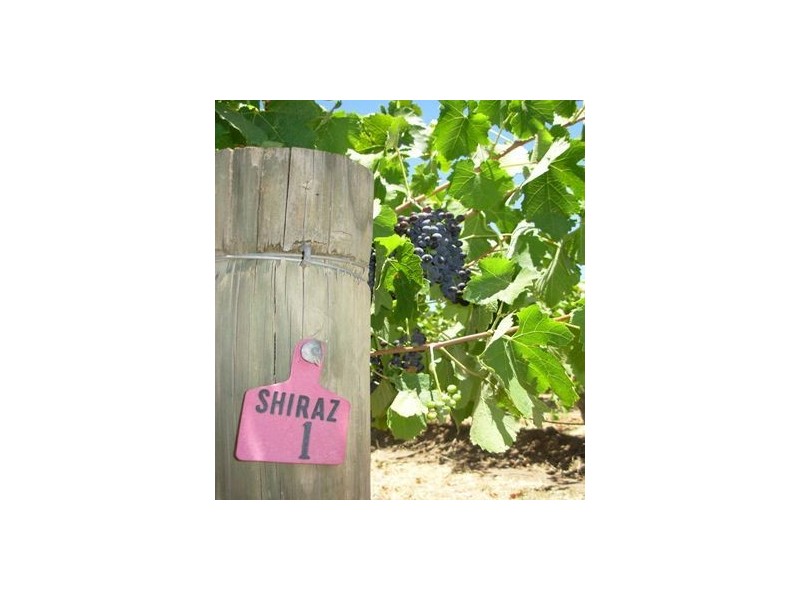 Lot 102 Barossa Valley Highway, Lyndoch SA 5351