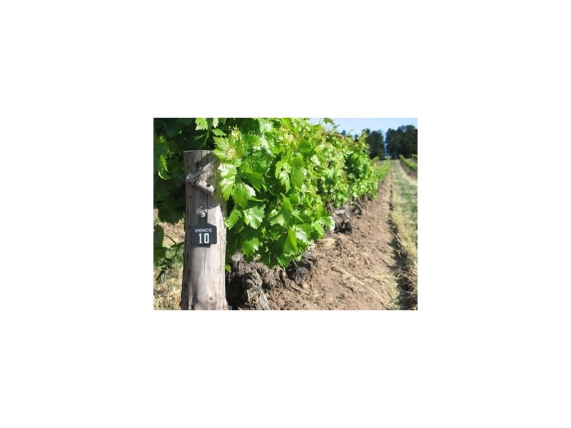 Lot 102 Barossa Valley Highway, Lyndoch SA 5351