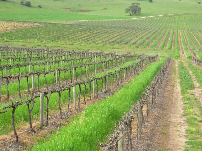 Lot 102 Barossa Valley Highway, Lyndoch SA 5351