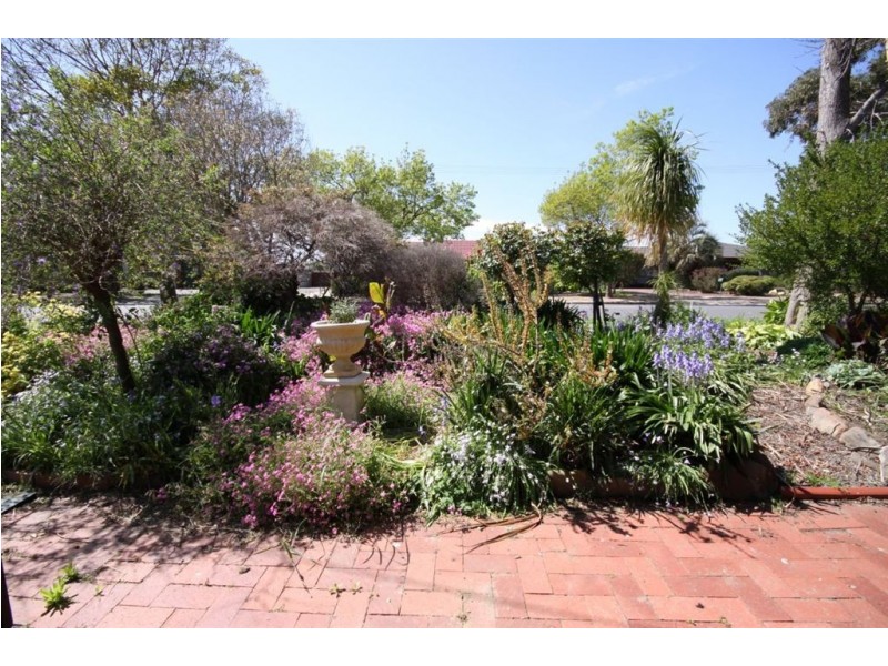 26 Walden Street, Tanunda SA 5352