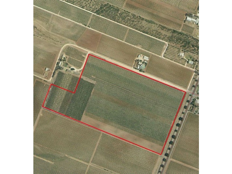 Lot 502 Nuraip Road, Nuriootpa SA 5355