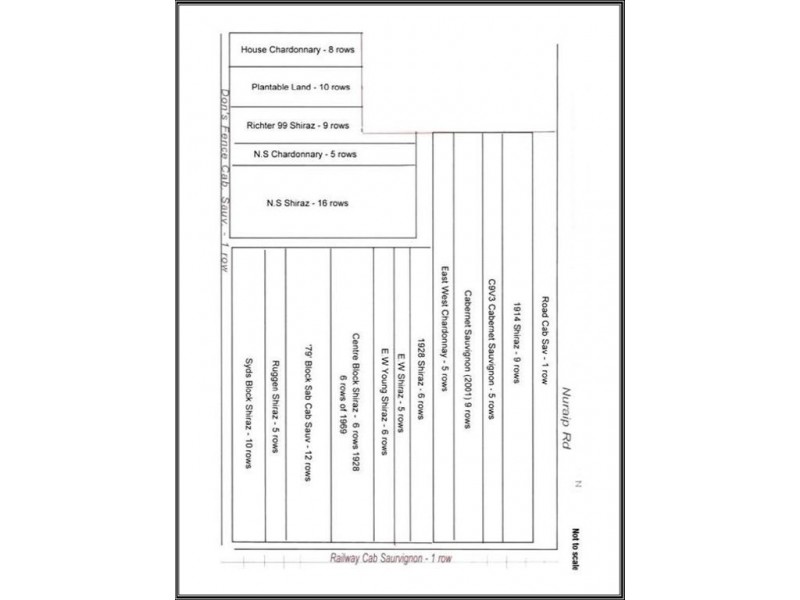 Lot 502 Nuraip Road, Nuriootpa SA 5355