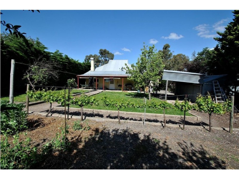 4 MacDonnell Street, Tanunda SA 5352