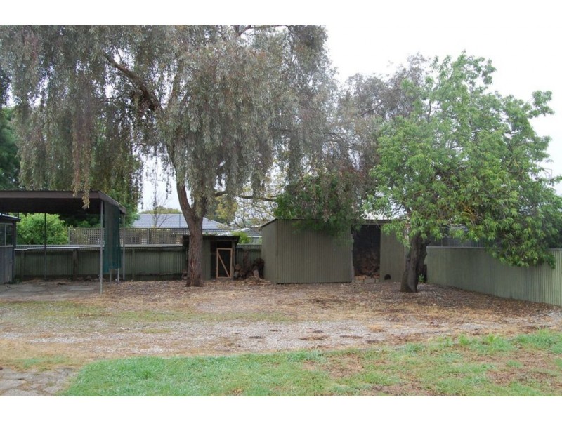 87 Murray Street, Nuriootpa SA 5355