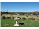 32 Railway Terrace, Truro SA 5356
