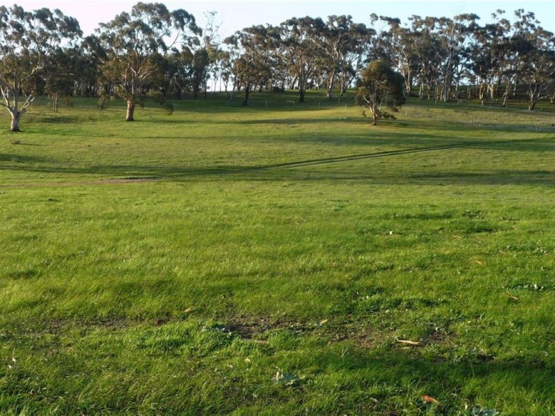 Lot 130 Keynes Road, Keyneton SA 5353