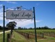 Lot 410 Ebenezer Road, Nuriootpa SA 5355