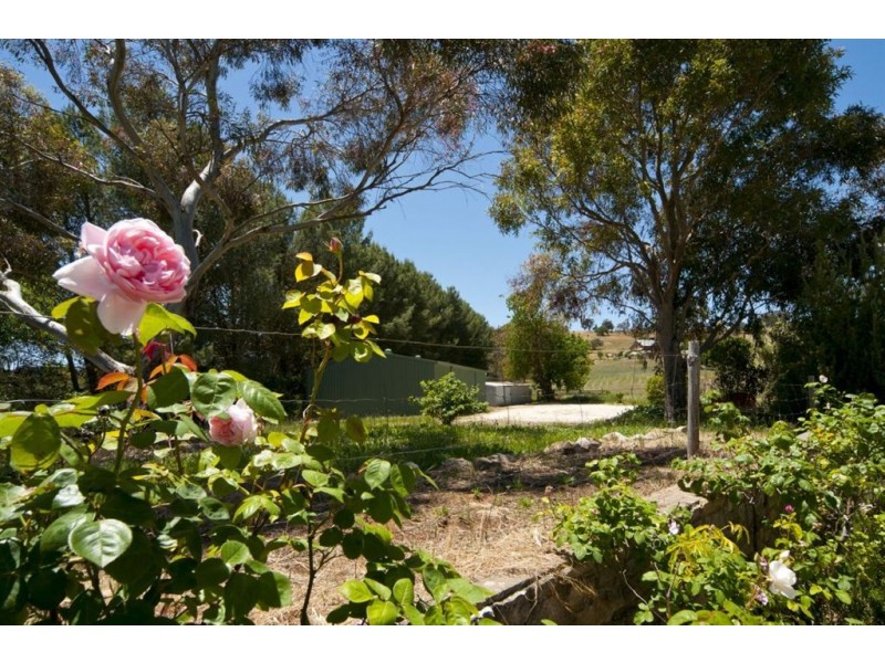 Lot 592 North Street, Angaston SA 5353