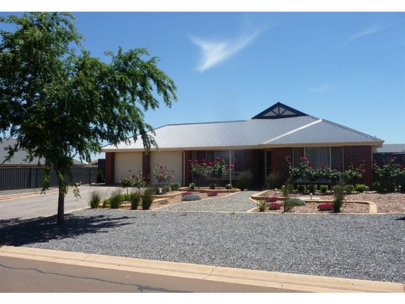 12 Mickan Road, Stockwell SA 5355